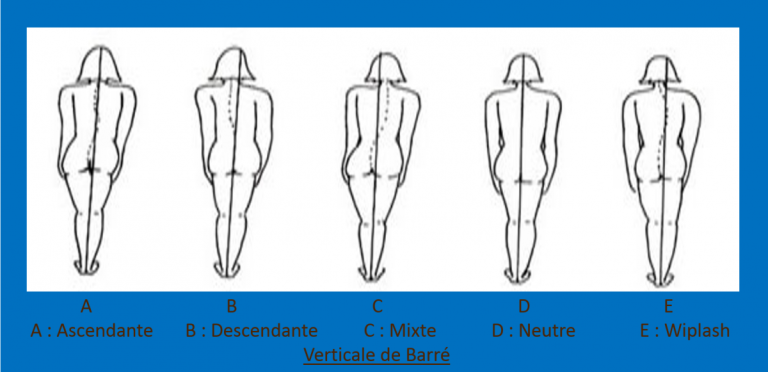 Schémas de la verticale de Barré de dos